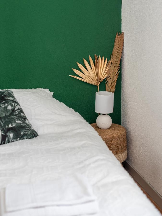 גרנובל Bel Appartement Renove מראה חיצוני תמונה